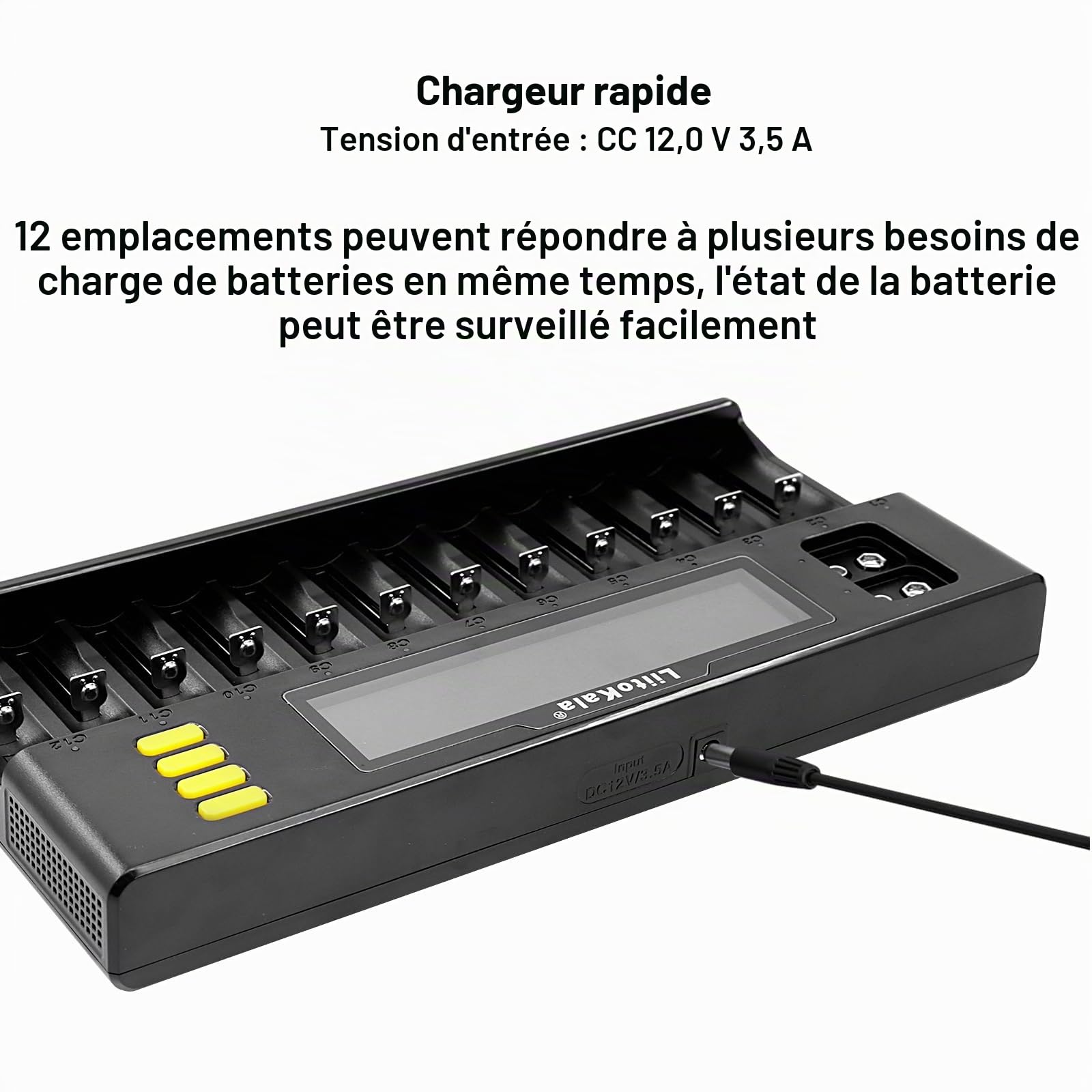 LiitoKala Lii-S12 18650 12 Bay Chargeur de Batterie Universel Rapide et Intelligent avec écran LCD,pour Li-ION(IMR/ICR) LiFePO4 Ni-MH/CD 18650 21700 26650 18350 14500 RCR123 9V Batteries AA AAA C