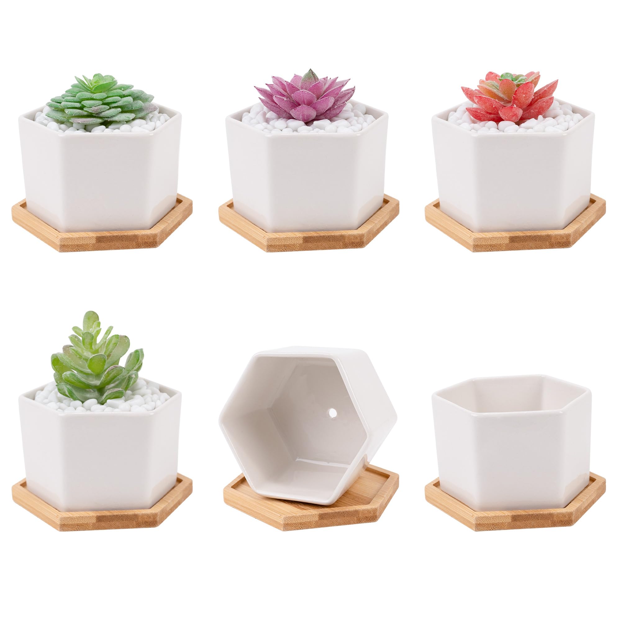 Leismy 6 PCS Succulent Pot Cactus Containers White Ceramic Planter with Drainage Hole and Removable Tray Small Plant Pots for Home Office Decor Bonsai Container for Indoor Outdoor Plants (Hexagonal)