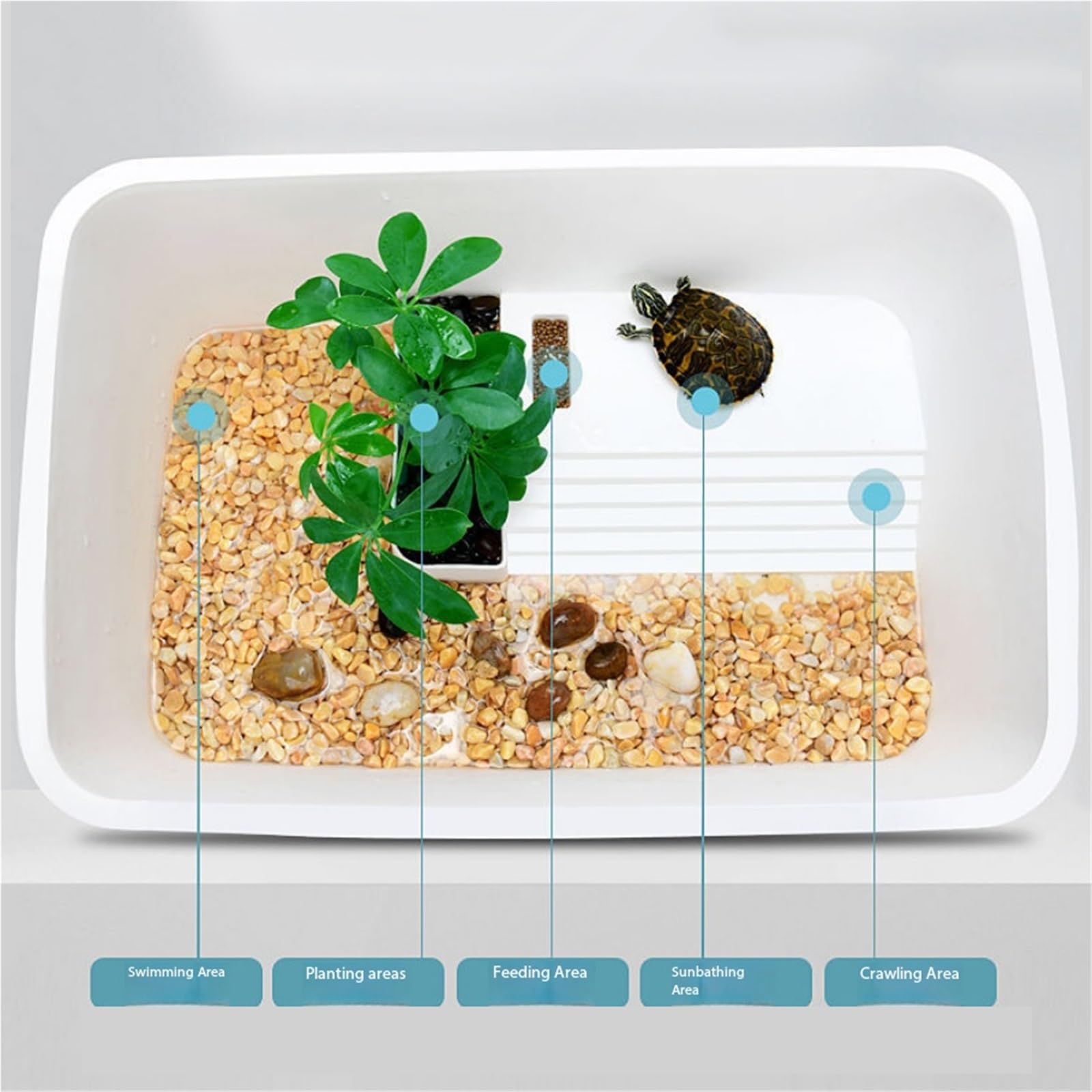 Siedlisko terrarium Mały domowy zbiornik do karmienia żółwi z platformą suszenia na słońcu Terrarium akwariowe(Duży)