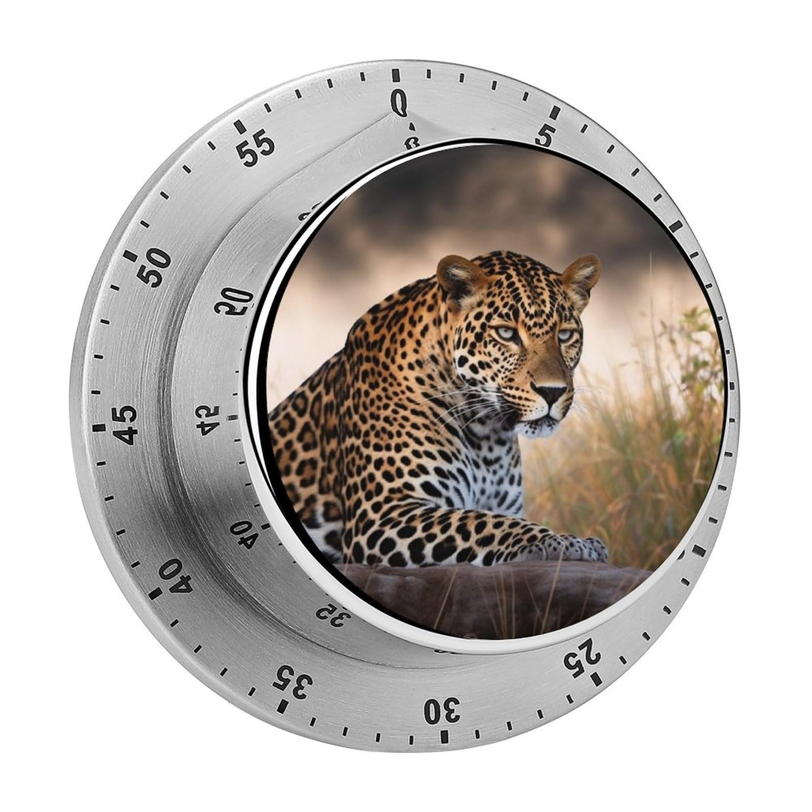 African Animal Leopard Visual Timer Cute Desk Timers No Batteries Required Magnetic Indoor Countdown Timers Loud Alarm Exquisite Manual Time Timer Clock for Gift