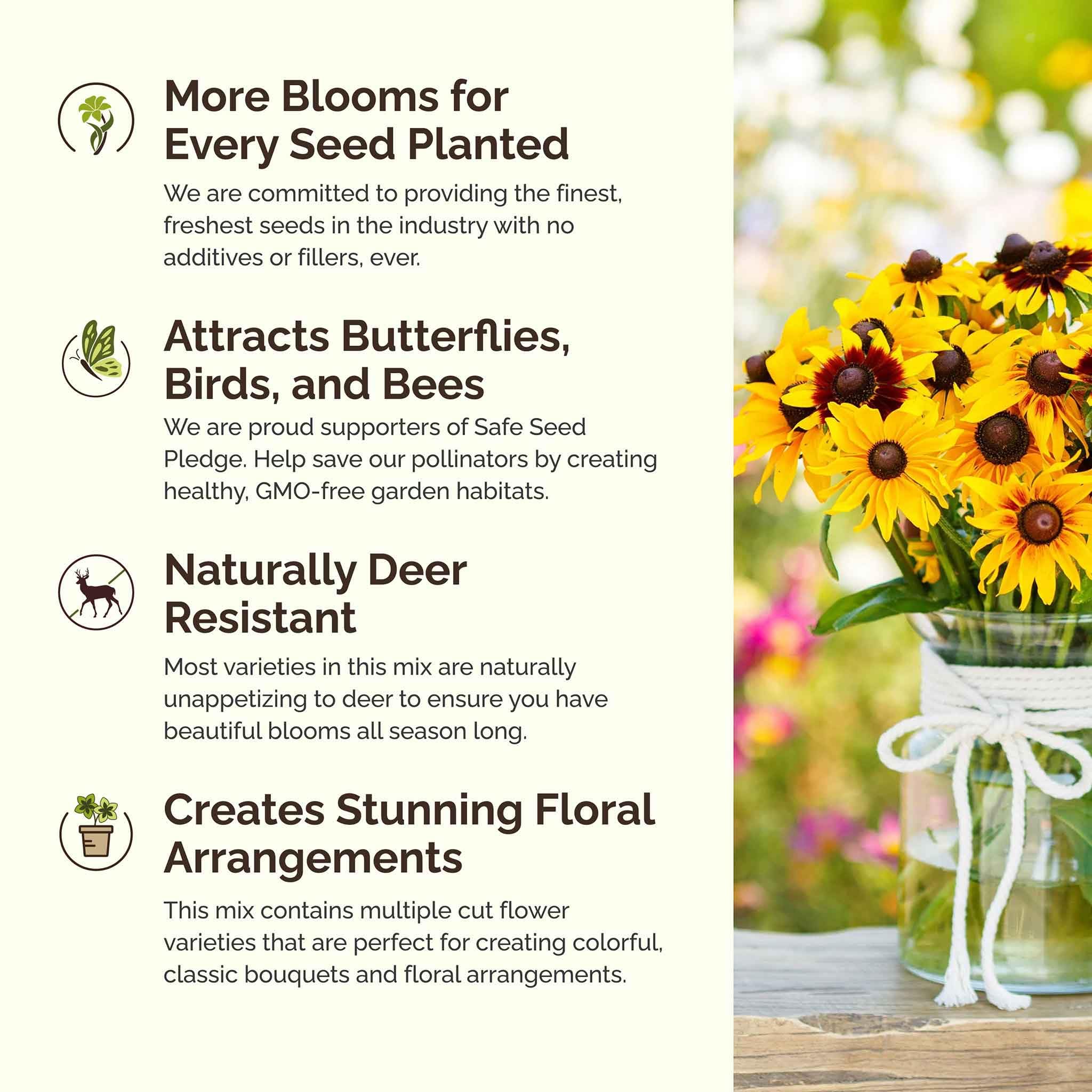 perennial plant seeds for sale Perennial Mix Wildflower Seeds main image 0
