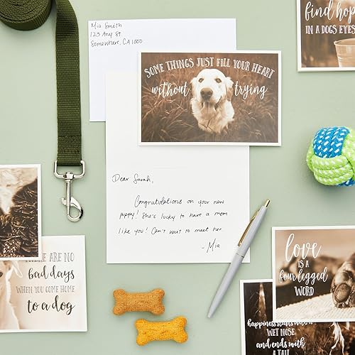 Miniatura 2 de BEST PAPER GREETINGS Tarjetas de agradecimiento con sobres, 4 x 6 pulgadas, paquete de 36 tarjetas de felicitación para perros en blanco en el