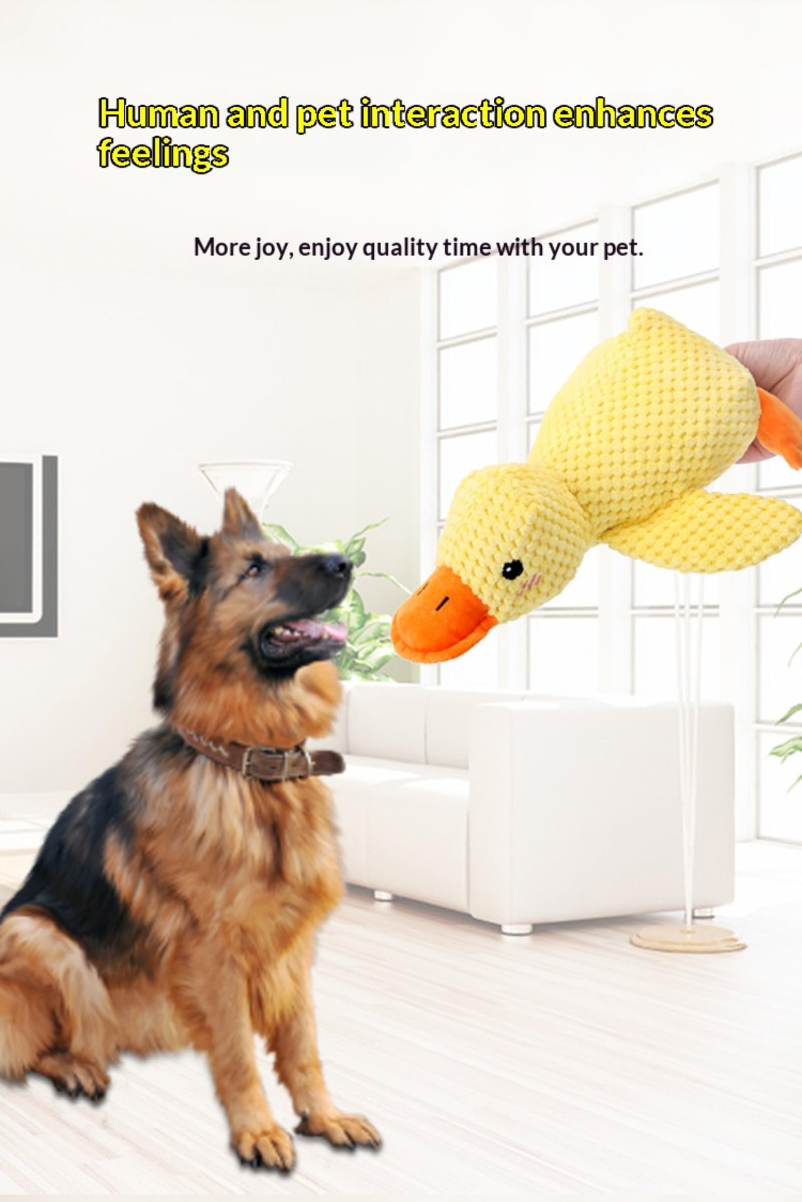 Genérico Canard in Yellow Plush Anti-stress, a Toy that fits small medium and large dogs. A plush canak, which some and cozy your dog.
