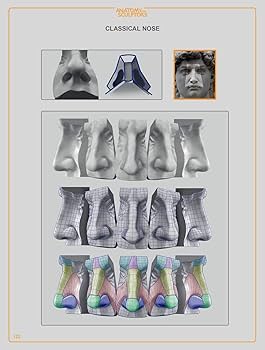 Amazon.co.jp: Anatomy for Sculptors Understanding the Human