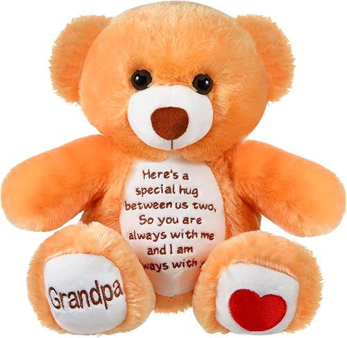 Miniatura 1 de Liliful Oso de peluche de peluche, regalo de condolencias para el afligido recuerdo de los niños, oso de peluche, regalo conmemorativo del dolor,