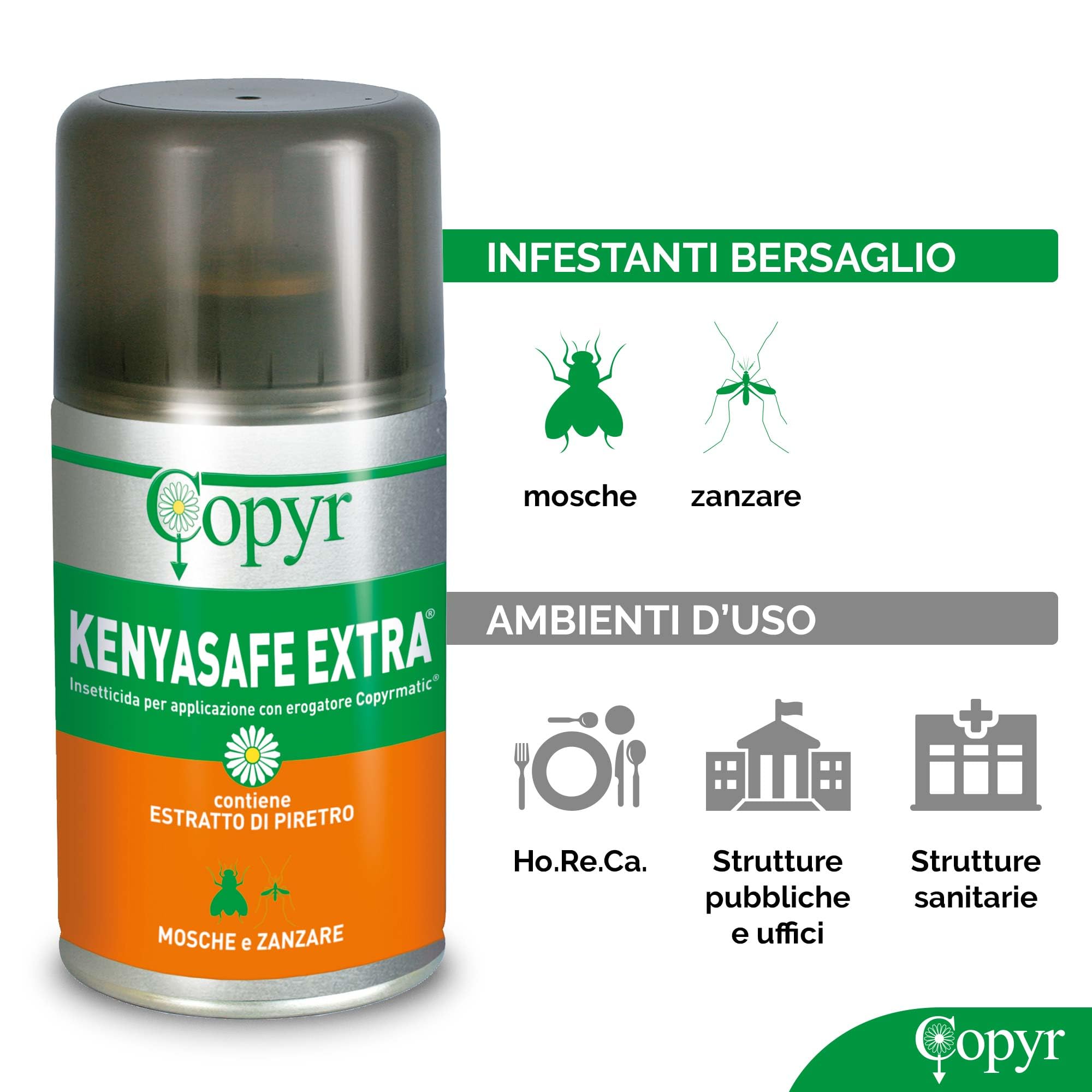 Copyr Kenyasafe Extra - Insetticida Antizanzare, Mosche e Insetti Volanti, 6 Bombole 250ml, Piretro Insetticida Biologico Repellente Zanzare Professionale Casa, Ho.Re.Ca., Settore Pubblico e Sanitario