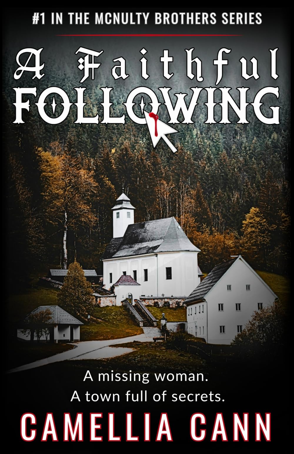 A Faithful Following: A McNulty Brothers Novel (The McNulty Brothers Series)