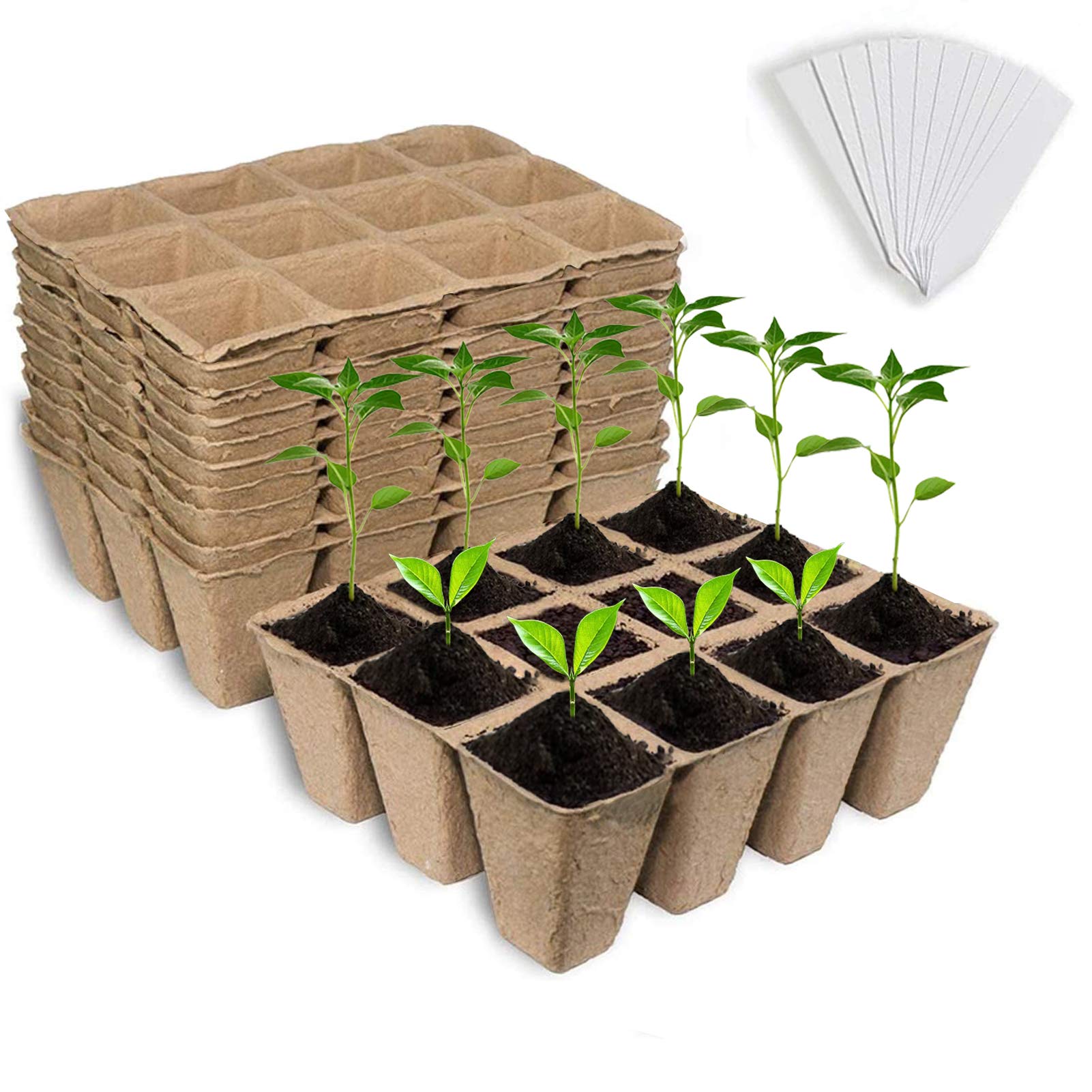 Buy Seed Starter Peat Pots, 12 PCS (144 Cells) Premium Biodegradable and Germination Seedling