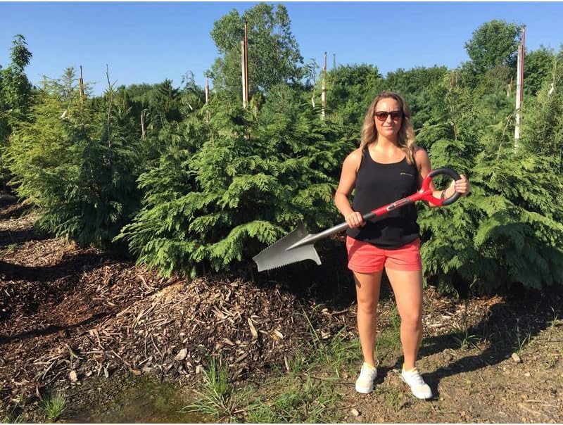 Radius Dig Carbon Steel 10 in. W x 45 in. L Shovel Poly