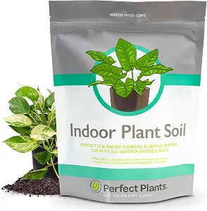 14 Best Soil Options for Your Prayer Plant to Thrive – Expert Recommendations 15 Perfect Plants Indoor Plant Soil, 4 qt, Coco Coir Potting Mix
