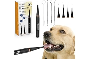 Premium Electric Toothbrush Set for Dog Dental Care