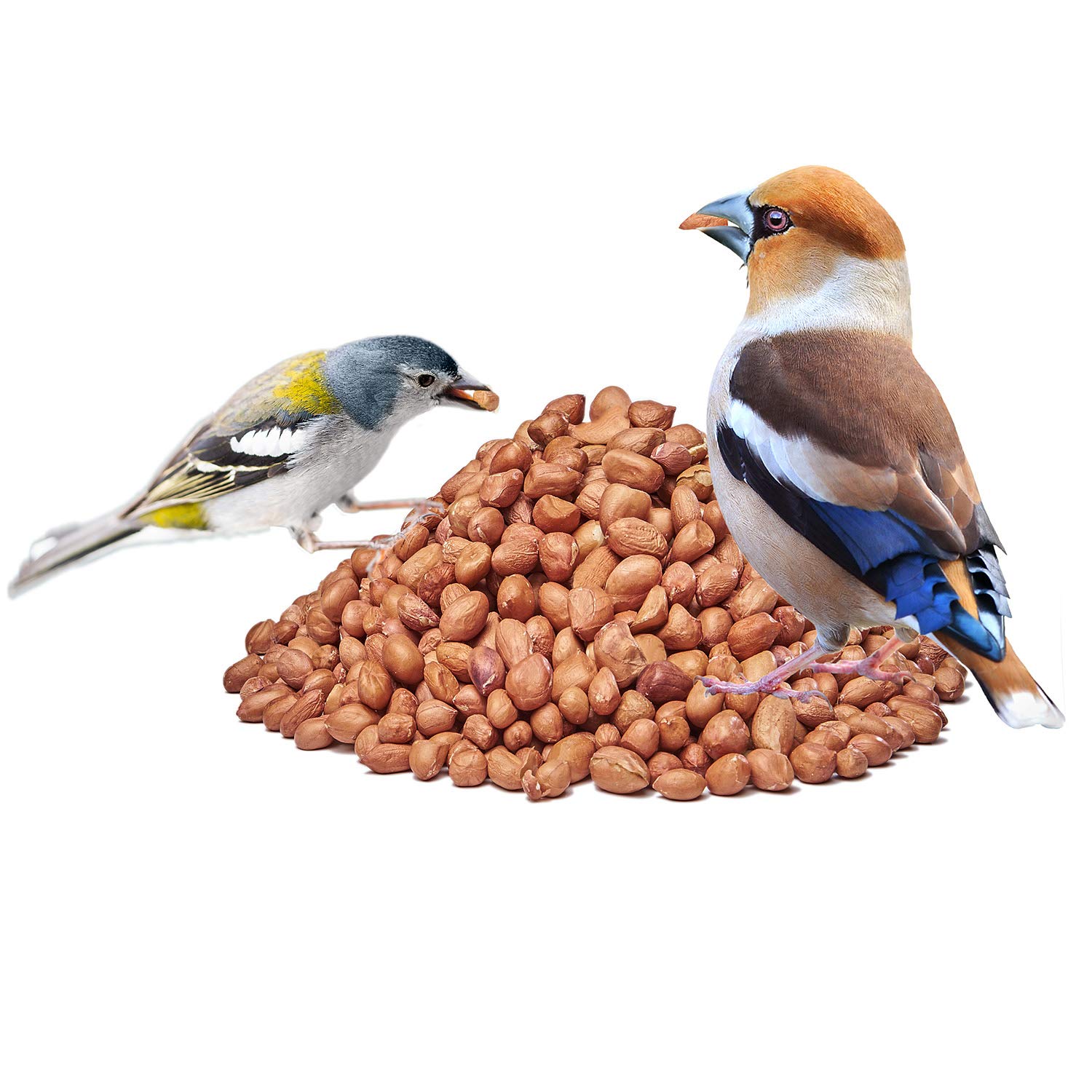 Paul´s Mühle - 20 kg Erdnüsse mit Haut (Light Skin) für Tiere & Wildvögel | Naturbelassenes Tierfutter für Eichhörnchen, Papageien & Nager - Nüsse Vogelfutter & Wildvogelfutter für Futterzwecke