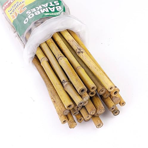 Estacas de bambú de 4 pies, estacas de jardín para plantas trepadoras en interiores y exteriores, postes de soporte, tomates, berenjenas, frijoles,
