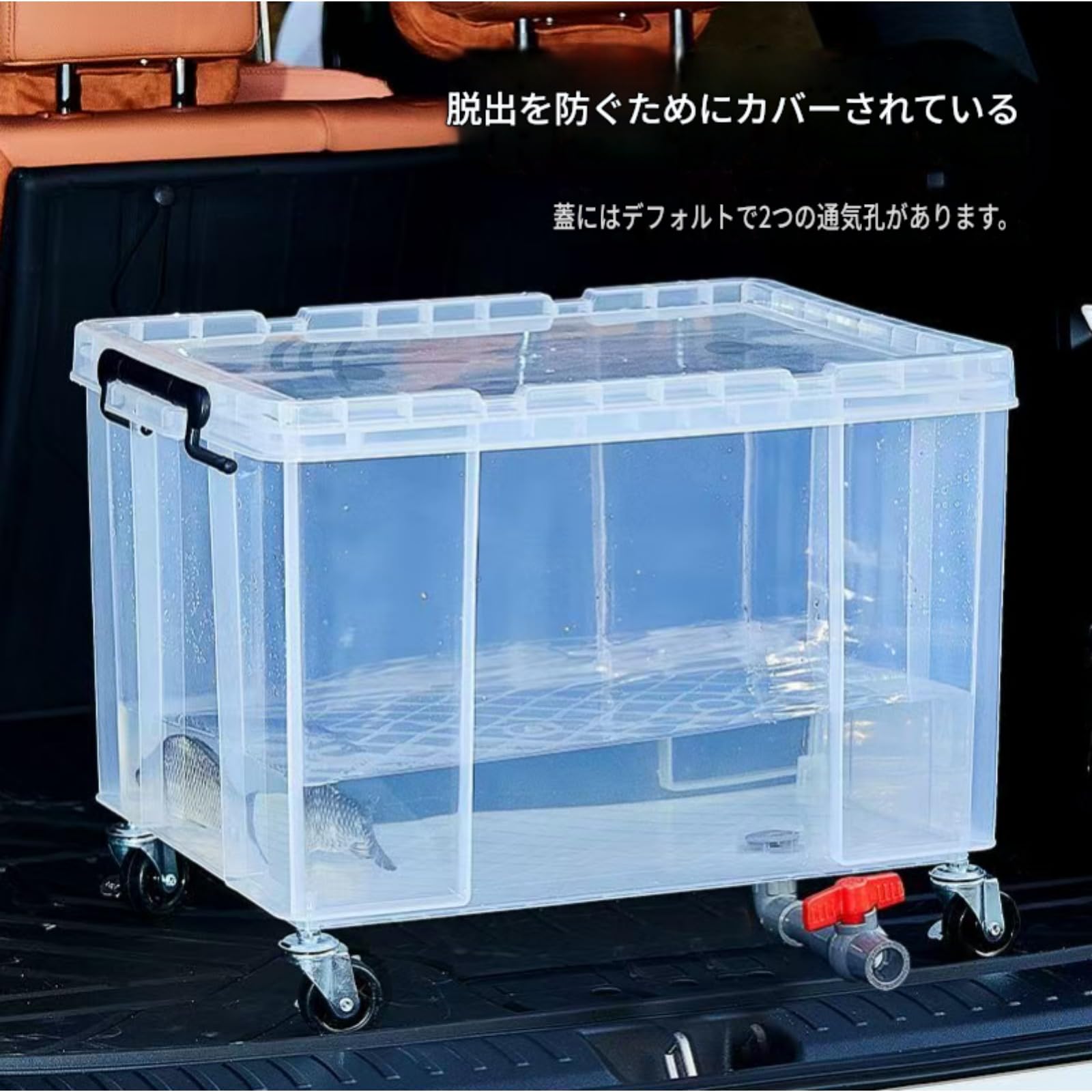 Amazon | [JQEJDKE] 蓋付き大容量 PP 製亀飼育ケース ドレンコック底網