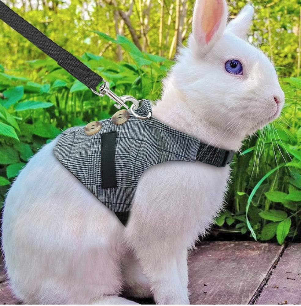 All Things Bunnies Distinguished Bunny Vest Harness/Leash
