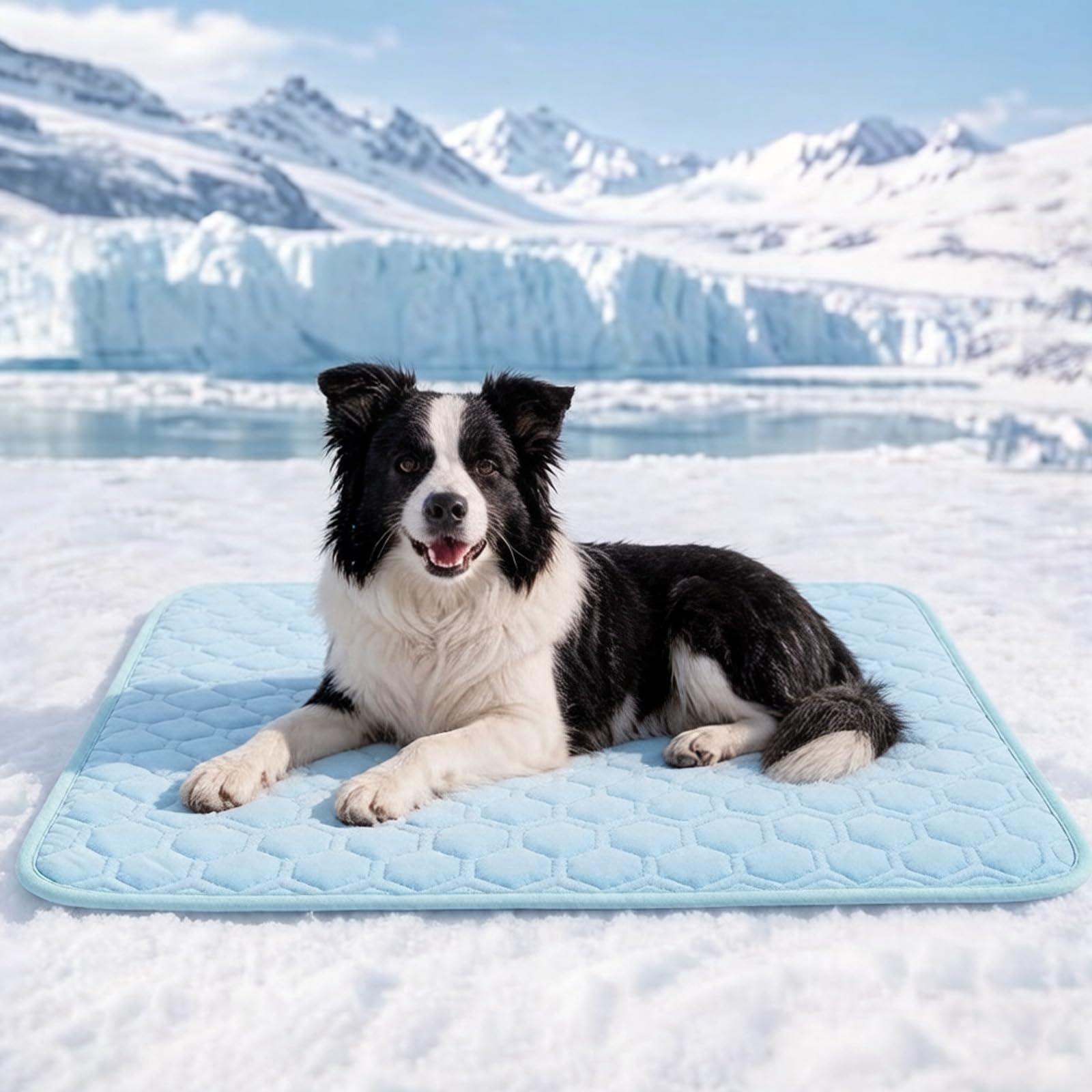 SISROL Arc-Chill Haustier Kühlmatte Hunde Katzen Q-Max 0,5 Waschbar Anti-Rutsch Pad