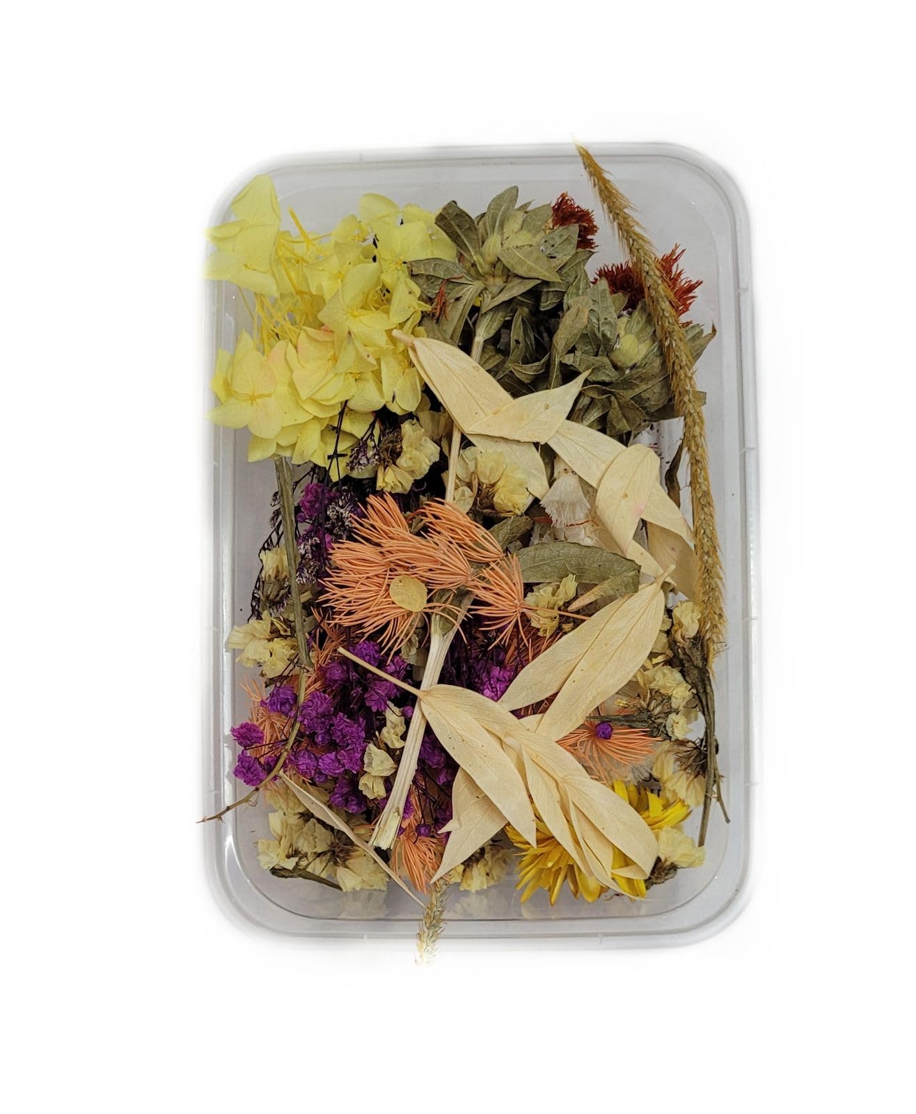 Definite Art Dried Flowers Packet of Mix Dried Flowers for Resin, Candle, Art Craft Work (2)-image-0