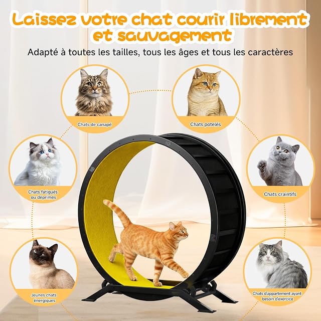 Foto 4 de 8 de GTPLAYER - Rueda para gato, rueda de ejercicio, XL- 100 cm, ultra silenciosa, con alfombra extraíble…