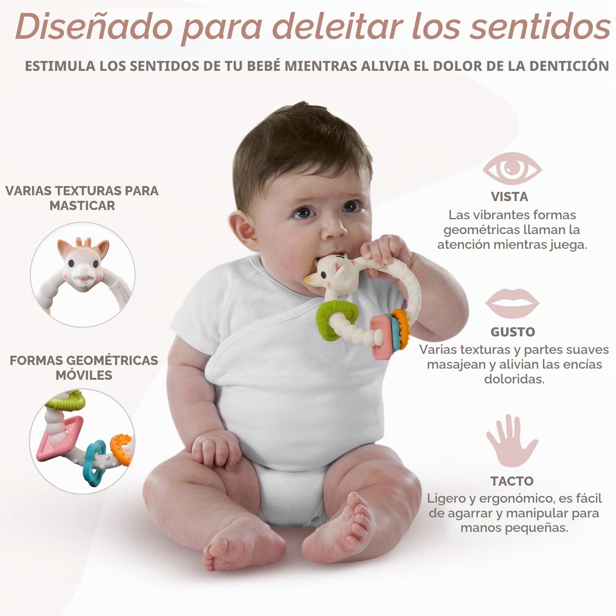 Sophie la Girafe - Mordedor - Colo'rings 4 Formas - Desde 3 Meses