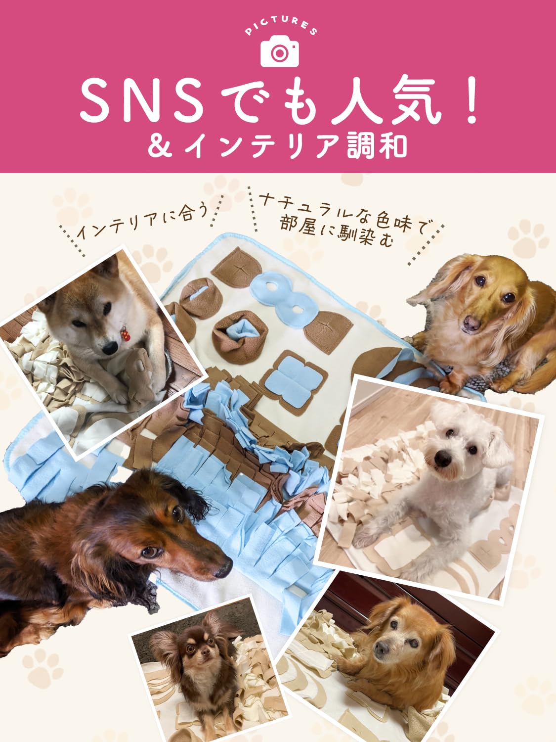 Amazon.co.jp: 【ドッグトレーナー推薦・JPPMA認定品】ノーズ Amazon.co.jp: 【ドッグトレーナー推薦・JPPMA認定品】ノーズ