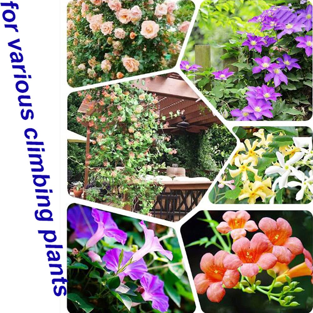 Obélisque de Jardin Métal Arche Support pour Plantes Grimpantes Cage Rose pour Interieur Exterieur Jardin Balcon Décoration, 180cm,230cm,280cm,330cm