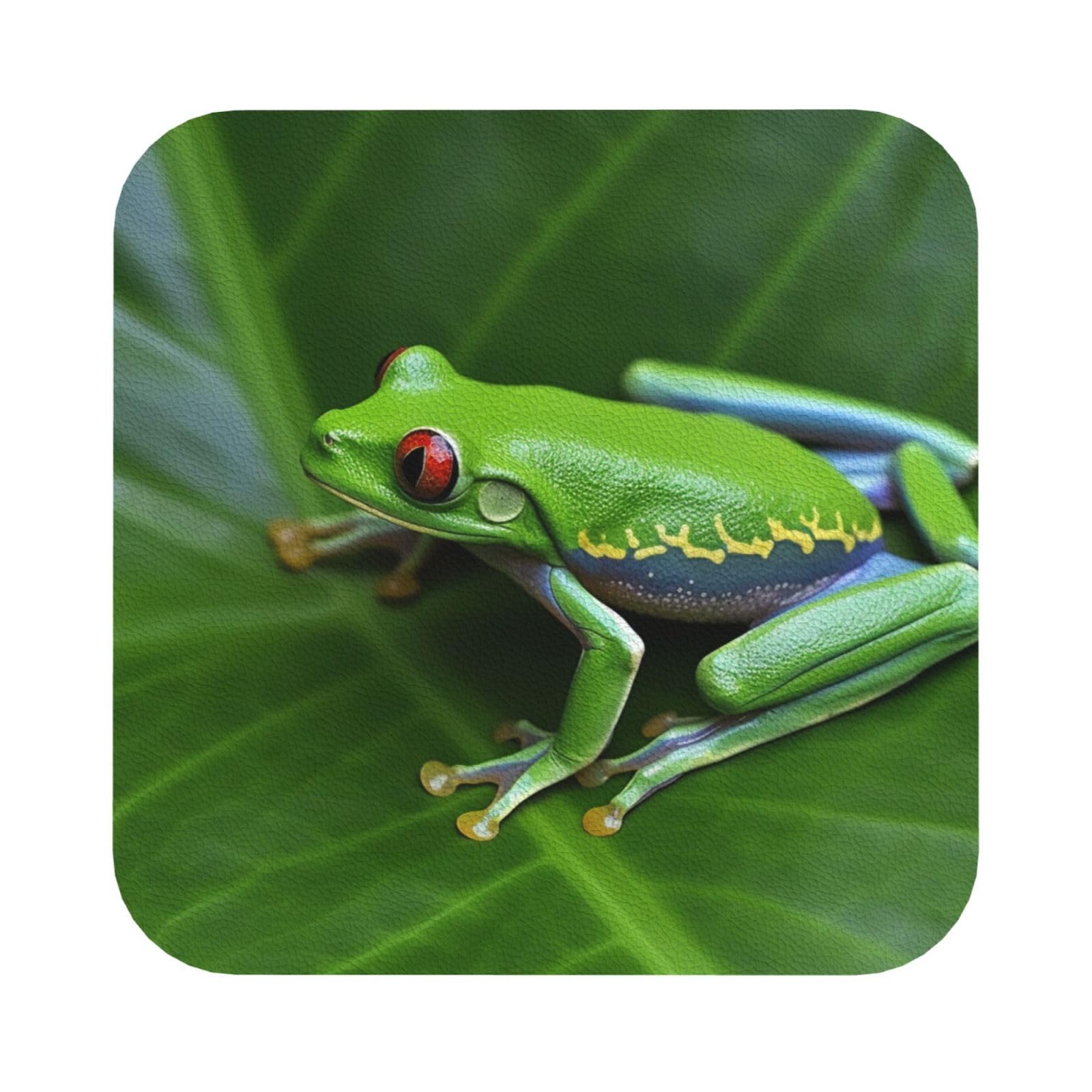 Animal Frog Leaves Print Leather Coaster Set of 6, Square Coasters Table Decorative Coffee Cup Beverage Coasters Wine Beer Bar Coasters for Hot Drinks Table Protection