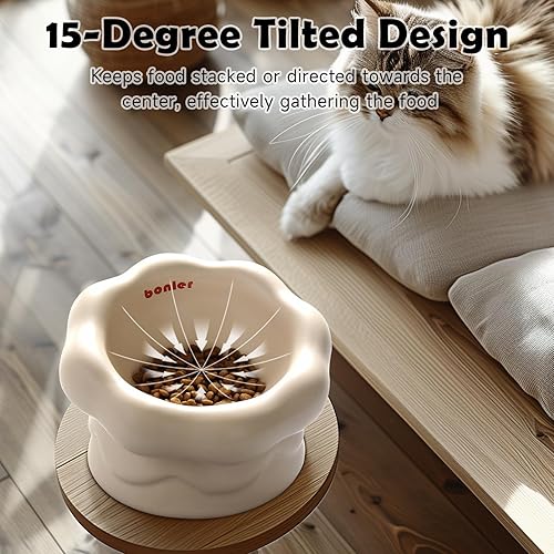 Miniatura 5 de Cuenco de cerámica en forma de nube para gatos, diseño elevado para gatos y gatitos de interior, plato inclinado antivómitos poco profundo con