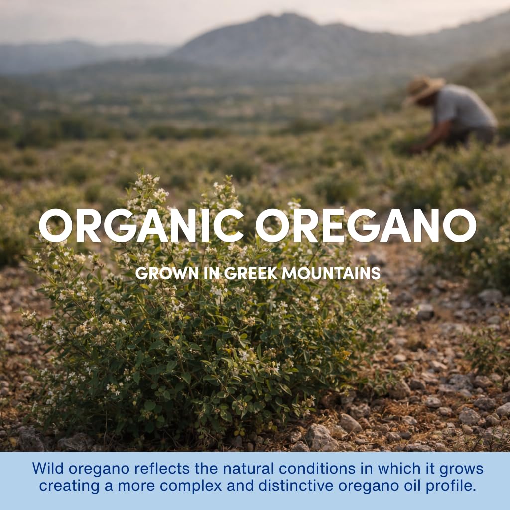 Olio di Origano Selvatico Idrosolubile Biologico - Gocce Liquide Naturali per Gengive Sane, Gola Irritata, Supporto Digestivo, Immunitario e Respiratorio - Aromavita - 30 ml
