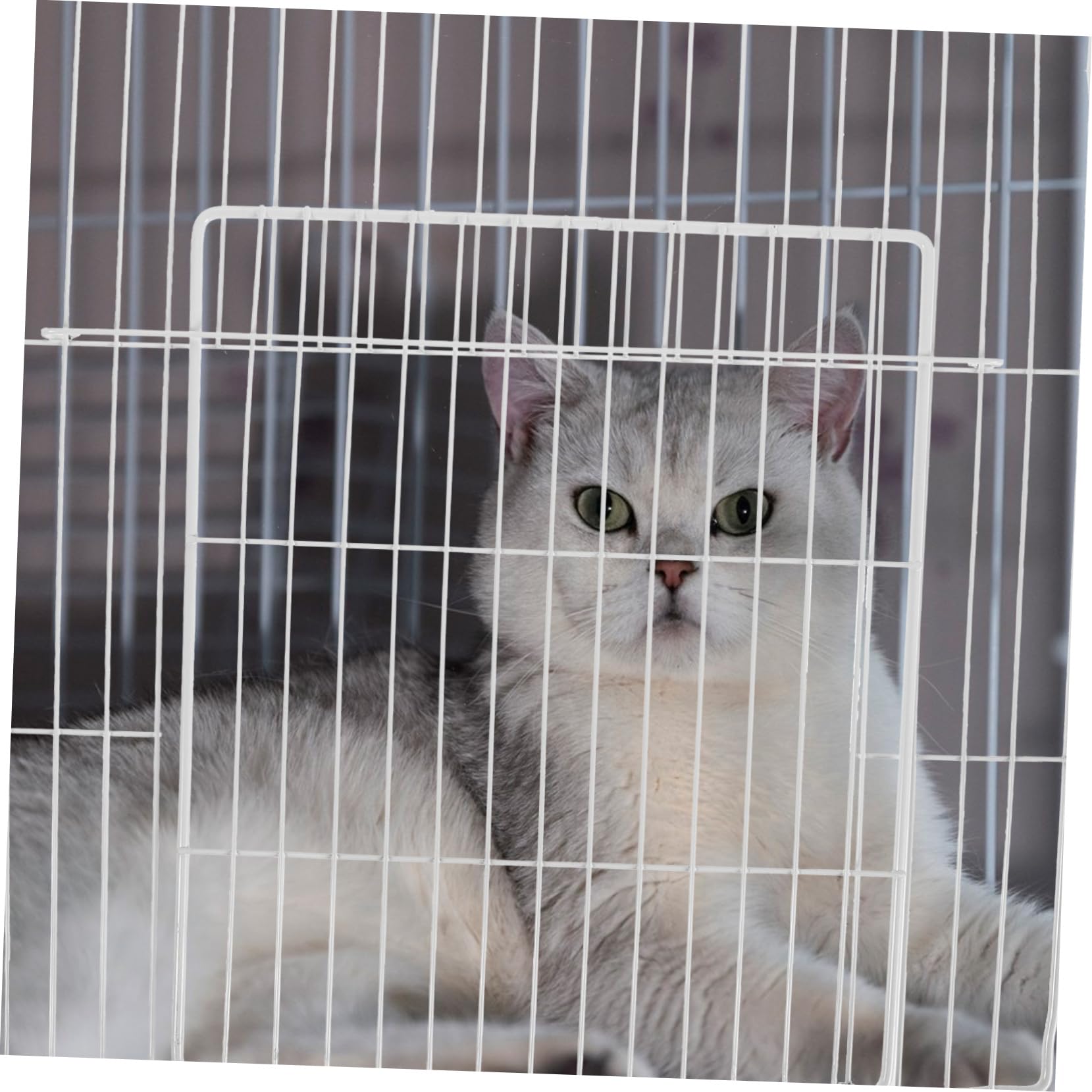 ORFOFE Katzengehege Paneel aus Eisen mit Engmaschigem Gitter und Abnehmbarer Tür 35x35cm Modularer Aufbau für Zuhause und Katzenvilla im Villa Stil