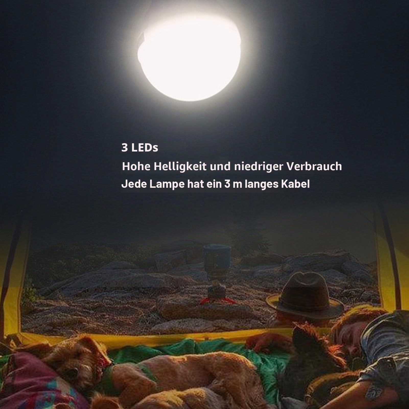 Tragbare Kraftwerksbank, Solar-Powerbank, 6000 MAh, Helle Scheinwerfer-Panel-Leuchte, 3 Glühbirnen, Tragbarer Griff, Solargenerator für Camping, Reisen