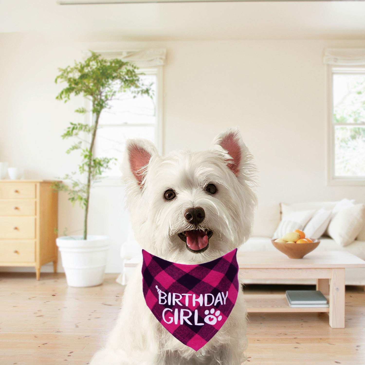 Bandana D’anniversaire Pour Chien - Coton Double Face, Imprimé "It's My Birthday", Ajustable - Rose, Taille Unique