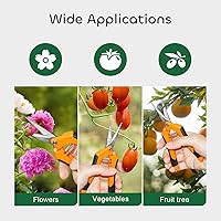 Vista 8 de GROWNEER 1 paquete de tijeras de podar de 6.5 pulgadas, tijeras de podar de mano para jardinería, tijeras de jardinería con cuchillas rectas