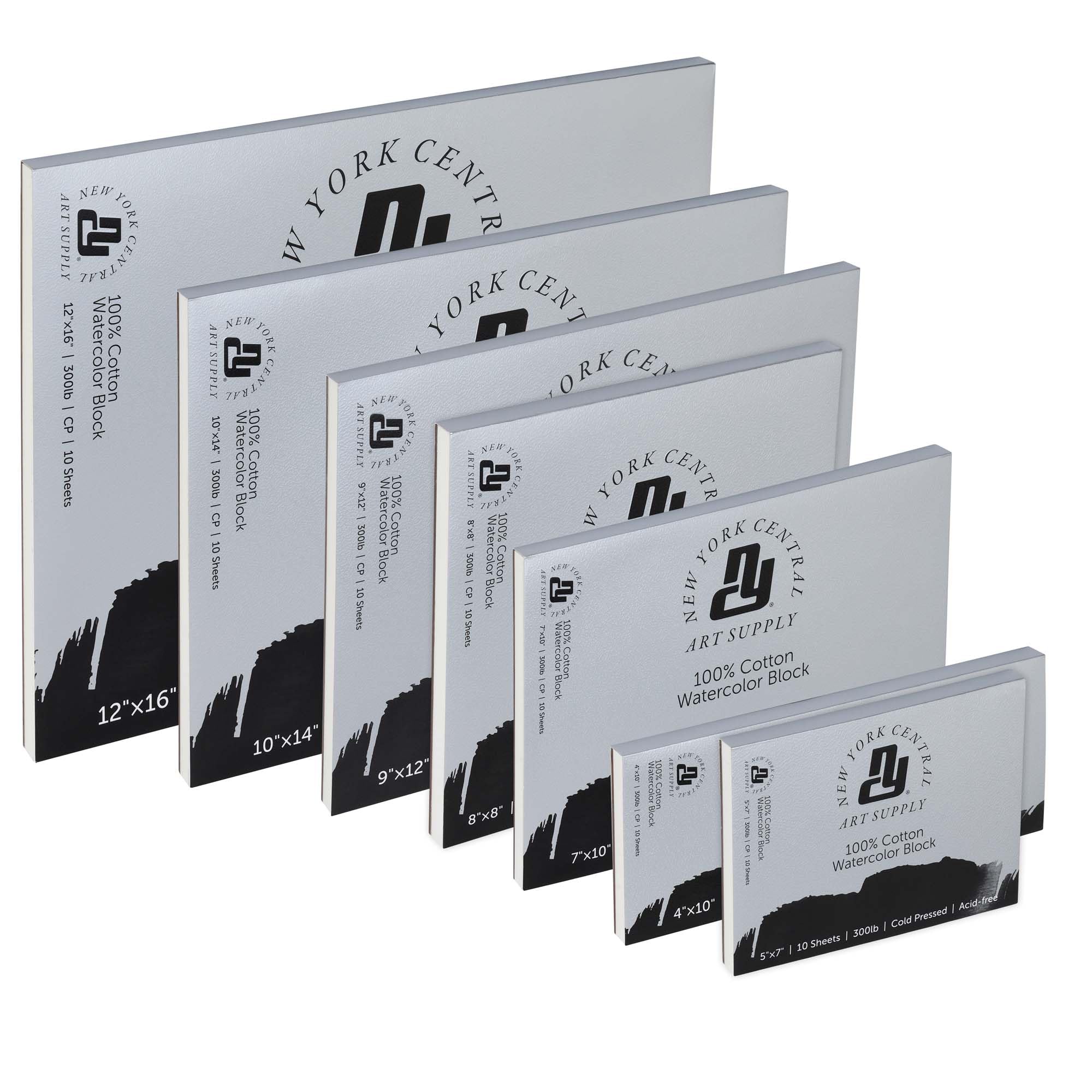 Aquarelle New York Central Lot De 10 Feuilles De Papier Aquarelle 55,9 X 76 Papier Coton