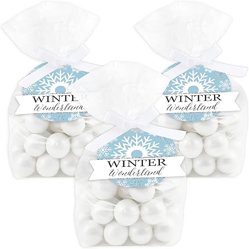 Big Dot of Happiness Winter Wonderland - Bolsas transparentes para regalos de fiesta de Navidad y boda de invierno, bolsas de regalo con etiquetas,