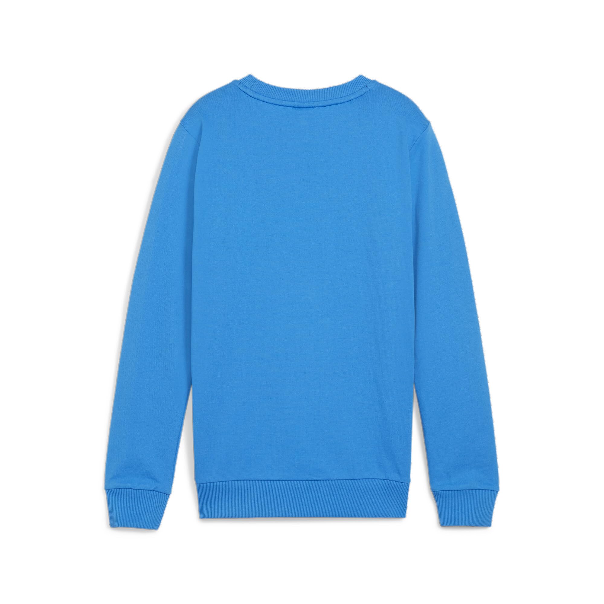 PUMA Teamgoal Casuals Crew Neck Sweat Jr Suéter de Punto Niños