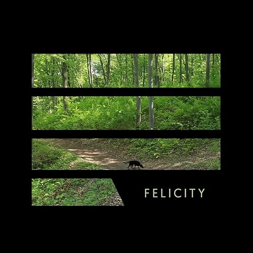 Cover of EP 'Felicity' by MOYOGI music band -Black labrador in the woods in summer. The image is striped