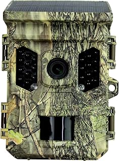 Braun Phototechnik Scouting Cam Black300 WiFi Solar 4K Mini Wildkamera Black LEDs, WLAN, Zeitrafferf