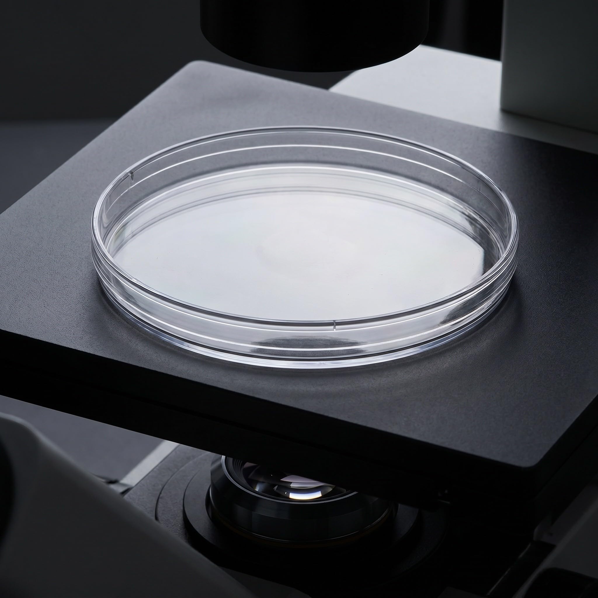 Kisangel Set di 20 piastre di Petri trasparenti con coperchio, 150 mm, in plastica, ideali per osservazioni microbiologiche e esperimenti scientifici in classe.