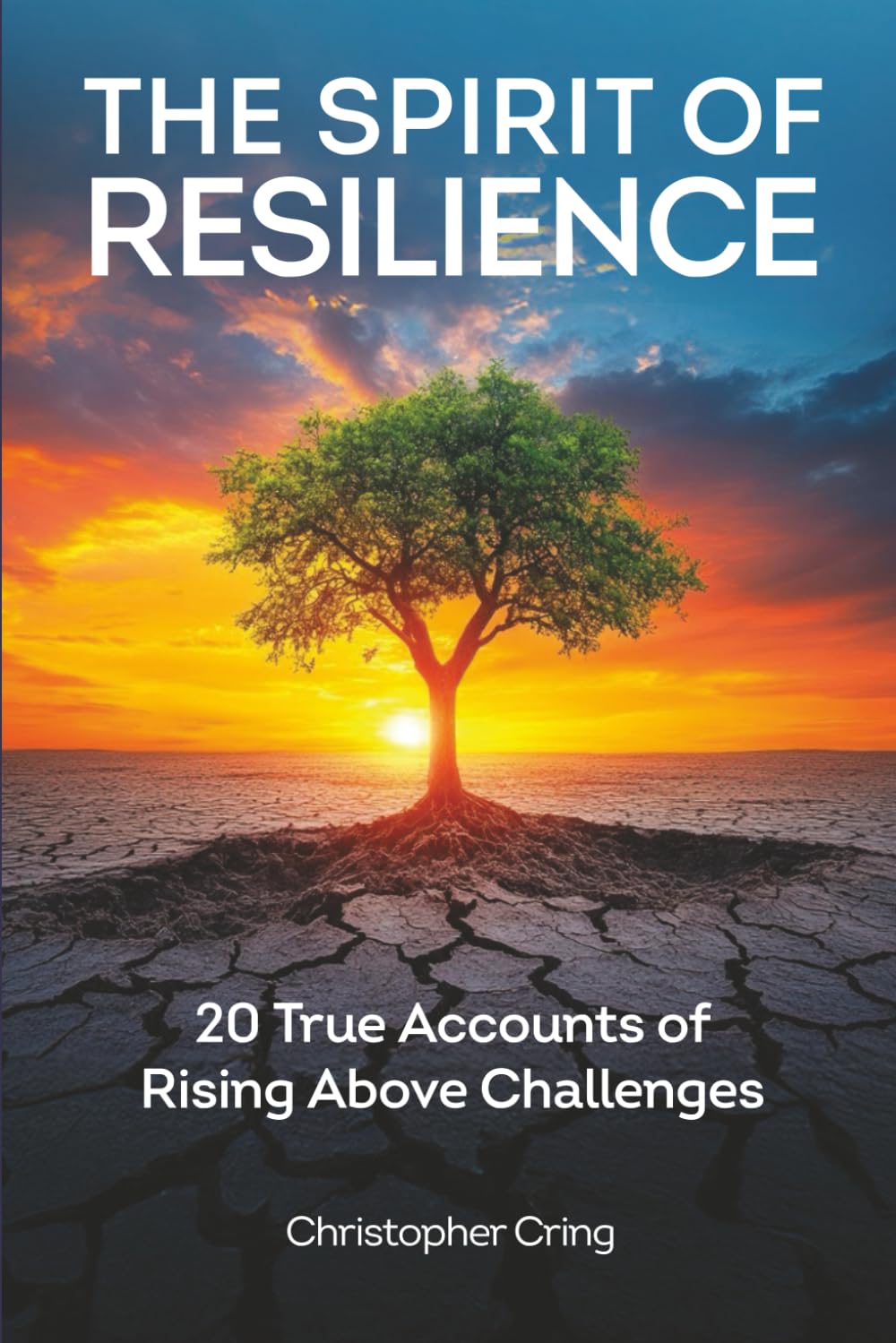 Resilience and Spirit: 20 True Accounts of Rising Above Challenges