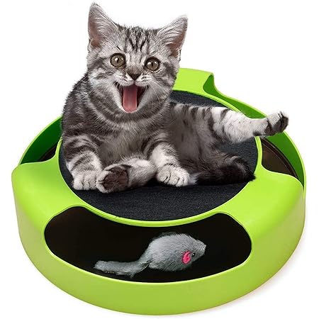 mouse hunt cat toy amazon