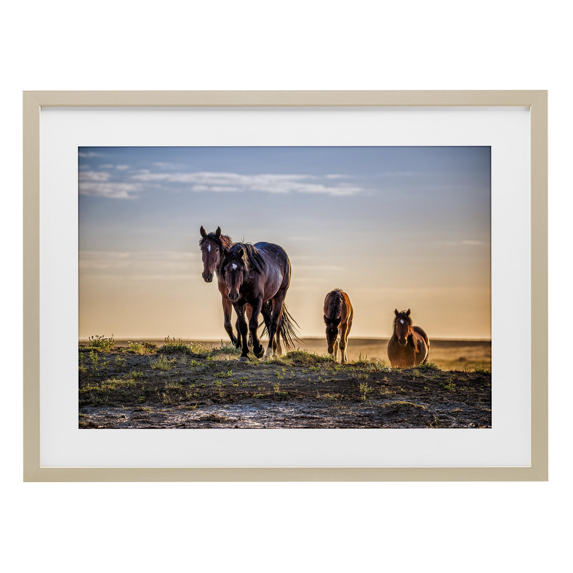 Stupell Industries Sunset Horse Herd 'Horses Coming Home', Framed Print Under Glass, Brown, 20 X 14 Inches, Easy To Hang And Sturdy, Made In Usa, By Tim West