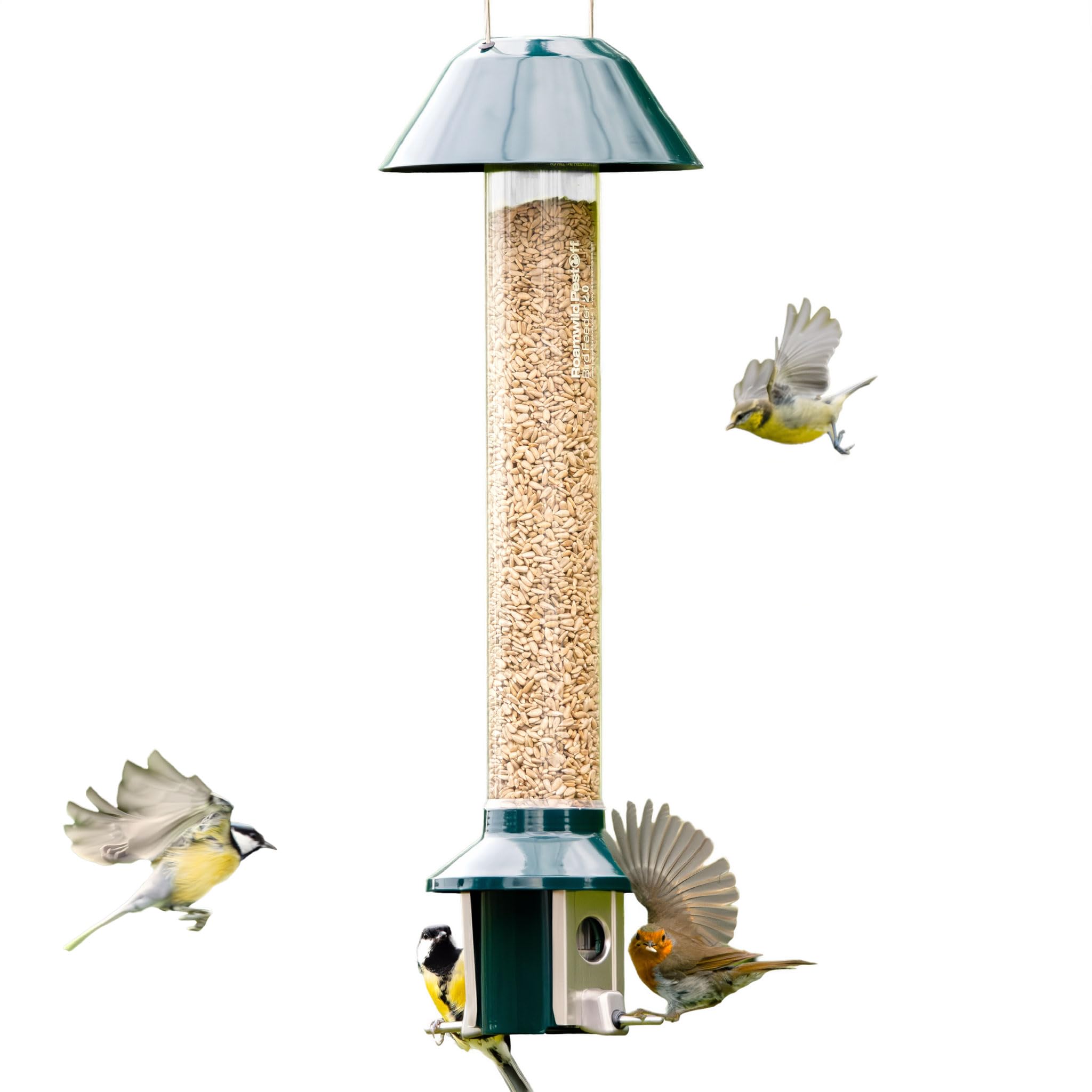 Roamwild Mangeoire à Oiseaux Sauvage Anti-écureuil PestOff (Mixed Seed)