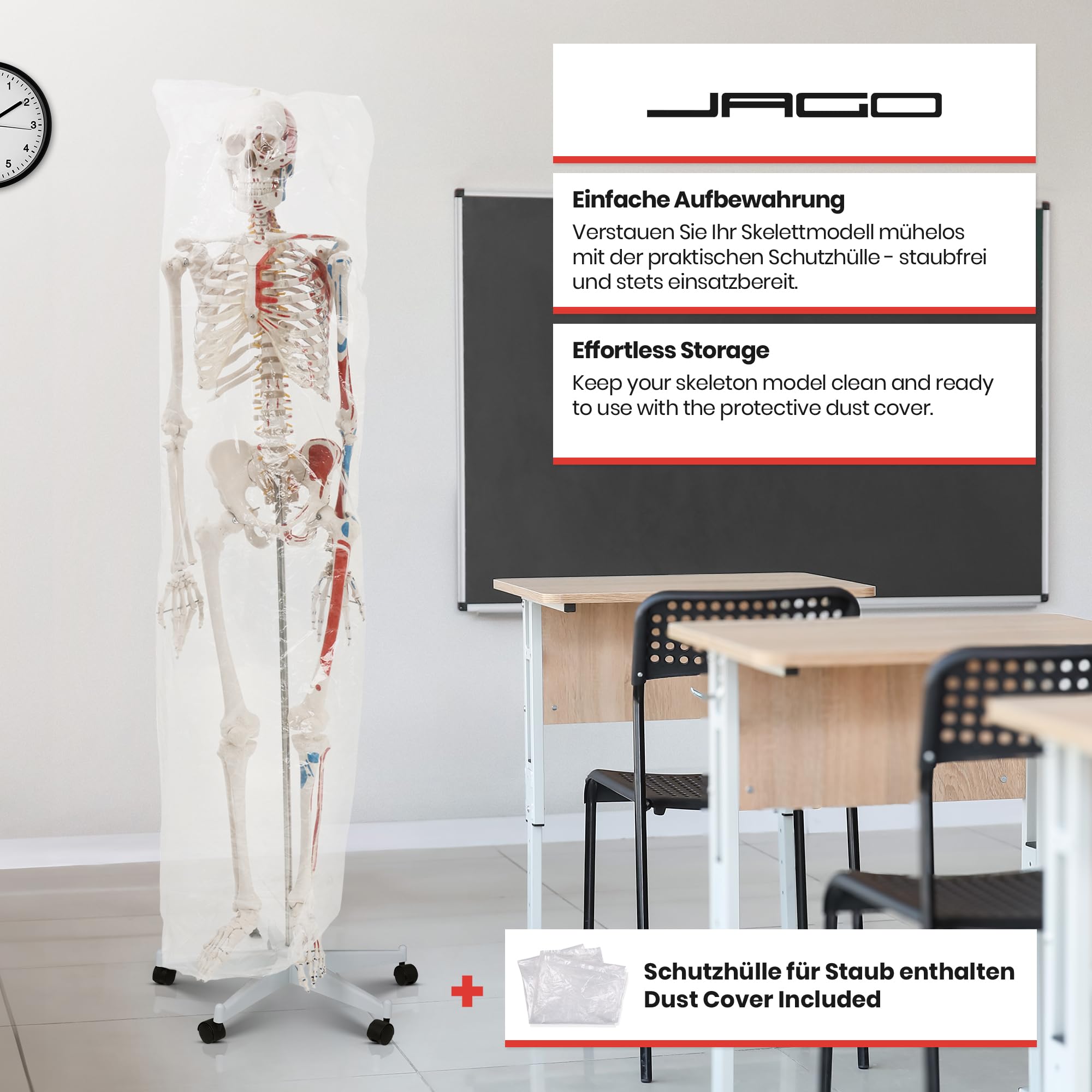 Jago® Anatomiczny szkielet – naturalnej wielkości, z plakatem, stojakiem, ruchomymi kończynami – szkielet ludzki, anatomiczny model ciała, do nauki medycyny, szkoły, kliniki, fizjoterapii