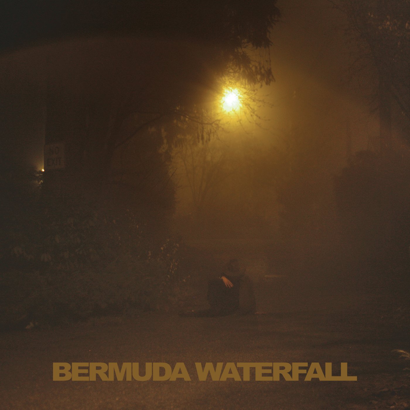 Bermuda Waterfall [Audio CD] SAVAGE,SEAN NICOLAS
