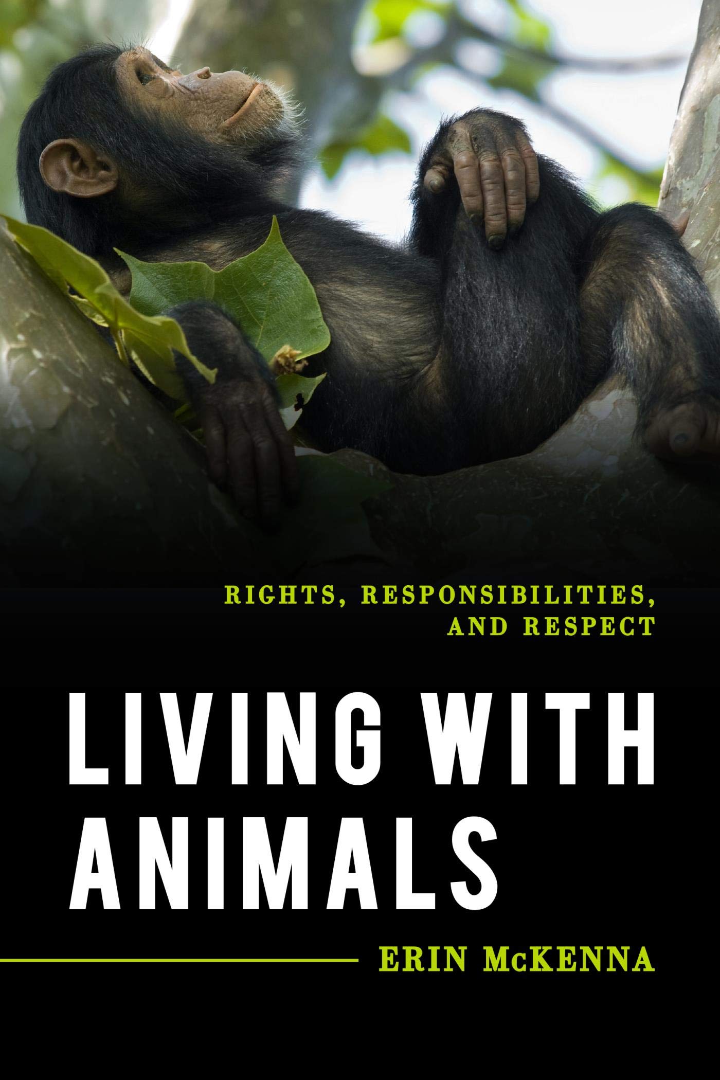 Living with Animals: Rights, Responsibilities, and Respect (Explorations in Contemporary Social-Political Philosophy)
