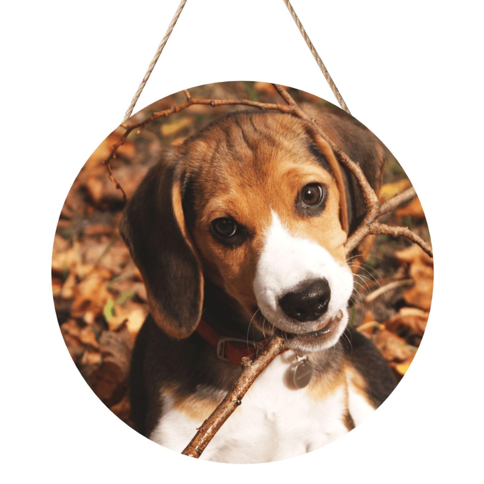 InOmak Cute Beagle, Round Wood Panel Painting 12 in, Wall Hanging Painting For Home