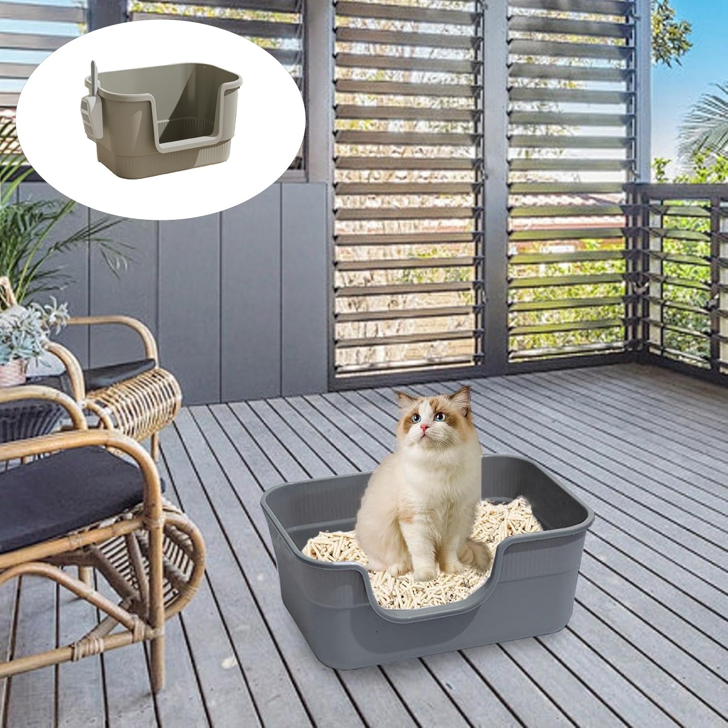 MEISO Toilette per Gatti con Vassoio e Paletta, Lettiera Aperta con Lati Alti per Tutti i Tipi di Gatto (Grigio)