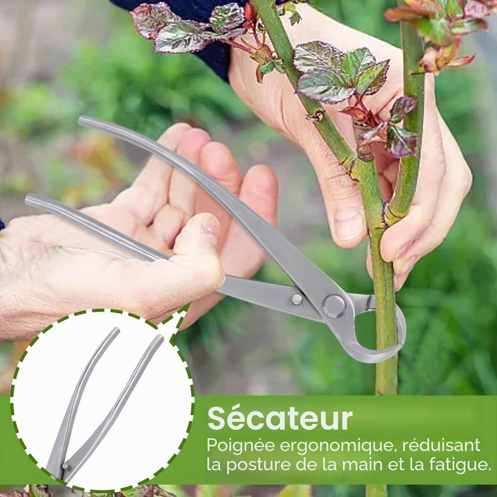 Ciseaux Bonsai, Coupe-bonsaï concave, Main Bonsaïs Cutter Branche Cutter,Coupe-branches Cisaille de Jardin Outils Bonsai, Acier Inoxydable, 180mm