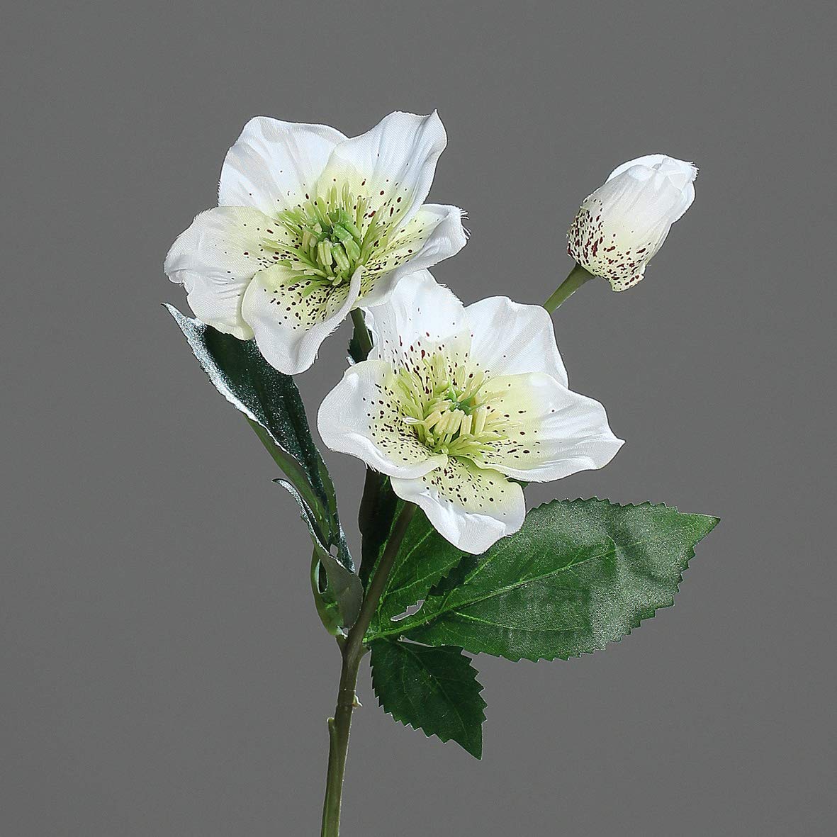 Amazon.de: Seidenblumen Ro Christrose 34cm Creme-wei DP Kunstblumen  knstliche Blumen Christrosenzweig Helleborus