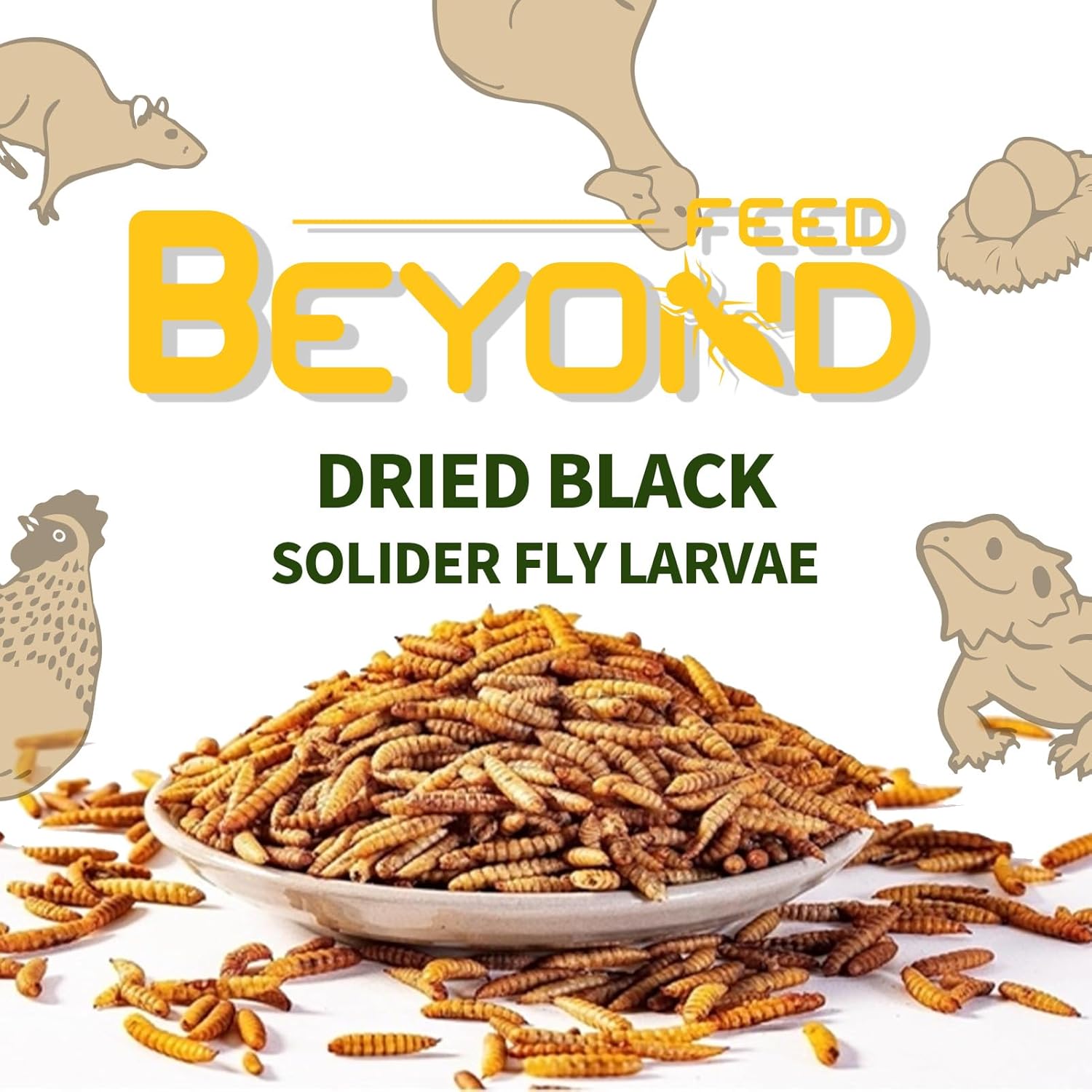 BeyondFeed™ Dried Black Soldier Fly Larvae - Nutrient-Rich, Sustainable Feed for Chickens, Ducks, Birds, Reptiles, Fish, Hamster, Turtles and More (11lbs/ 5kg Package)